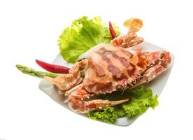 crabe rouge sur la plaque et fond blanc photo
