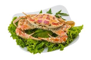 crabe bouilli sur la plaque et fond blanc photo