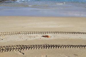 empreintes de pas dans le sable sur les rives de la mer méditerranée. photo