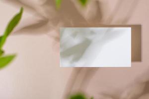 papier modèle avec ombre de plante verte sur fond beige pastel, superbe design à toutes fins. fond abstrait. modèle de bannière. La publicité photo