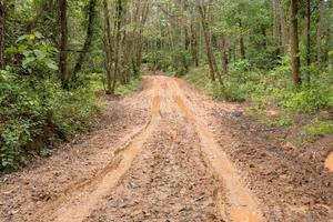 route de campagne boueuse et humide à chiang mai, au nord de la thaïlande. suivre la route de boue du sentier dans le paysage rural de la nature forestière. flaque d'argile brune transport moyen dans le pays photo