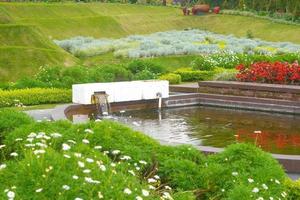 fleurs jardin parc nature fond photo premium