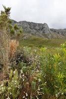 paysage de montagne par temps nuageux photo