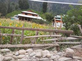 cachemire, pakistan, août 2022 - le cachemire est la plus belle région du monde, célèbre pour ses vallées verdoyantes, ses beaux arbres, ses hautes montagnes et ses sources jaillissantes. photo