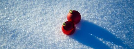 décoration de boules de noël dans la neige photo