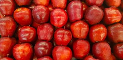 pommes rouges fraîches bonnes pour le fond multimédia groupe de pommes mûres rouges photo