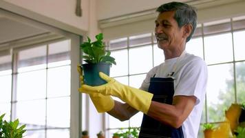 heureux homme jardinier senior prenant soin de ses plantes en serre. photo