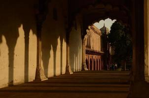 Les beaux-arts gravés dans les pierres des différentes architectures mogholes en Inde ont résisté à l'épreuve du temps. ces dessins suspendus se dressent dans une vaste rangée de symétrie et d'apparence sur les portes des forts. photo