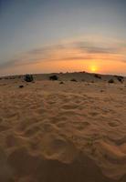 beau coucher de soleil dans le désert photo