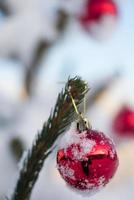 boules de noël sur le sapin photo