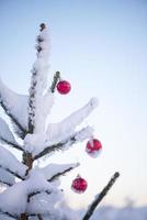 boules de noël sur le sapin photo