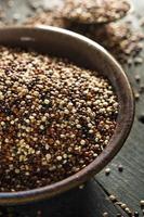 quinoa cru bio coloré photo
