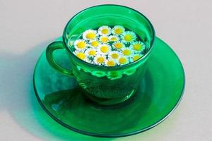 marguerite dans une tasse verte avec une soucoupe sous un soleil éclatant. été, chaud. belle photo