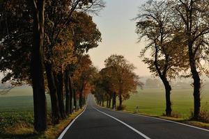 vue sur la route de campagne photo