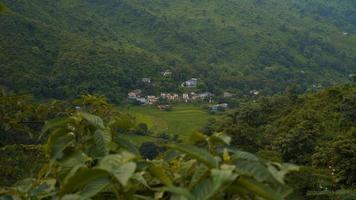 image de beauté verte uttarakhand prise de vue en plein air hd. photo