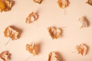 compositions d'automne. motif composé de feuilles séchées sur fond beige pastel. automne, concept d'automne. mise à plat, vue de dessus photo