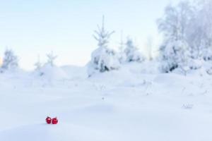 boules de noël rouges dans la neige fraîche photo