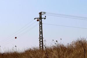 fils électriques transportant du courant à haute tension. photo