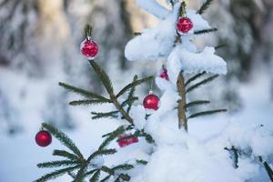 boules de noël sur l'arbre photo