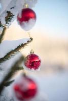 boules de noël sur le sapin photo