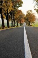 vue sur la route de campagne photo