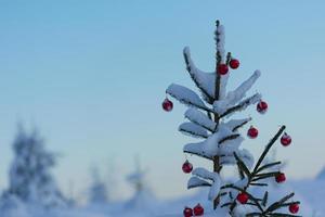 boules de noël sur le sapin photo