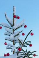 boules de noël sur le sapin photo