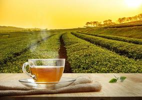 tasse de thé chaude sur la table en bois et le fond des plantations de thé, heure du lever du soleil photo