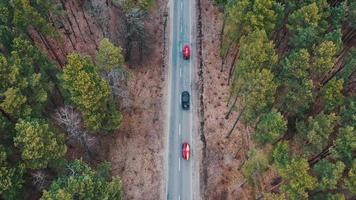 plusieurs voitures avec des kayaks sur une galerie de toit roulant sur la route parmi les arbres photo