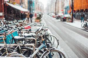 première neige de l'année photo