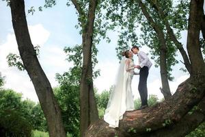 mariée et le marié sur l'arbre photo