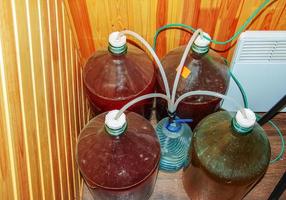 préparation de vin de raisin maison dans des bocaux avec des tubes avec un joint d'eau. photo
