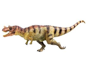 dinosaure ceratosaurus sur un tracé de détourage d'arrière-plan blanc isolé photo