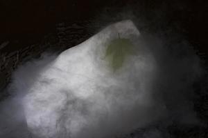 feuille verte sur une banquise blanche. feuille et neige carbonique. photo