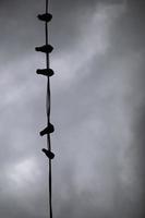 pigeons sur des fils. une journée grise avec des oiseaux. beaucoup d'oiseaux urbains sur fond de nuages. photo