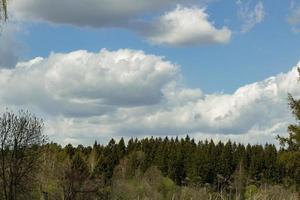 nuages et forêt. temps d'été. nature en dehors de la ville. photo