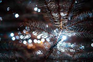 arbre de noël avec des cônes dans une rue de la ville illuminée d'une guirlande. photo