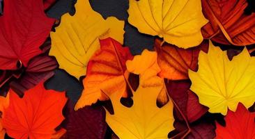 fond de feuilles colorées d'automne automne. photo