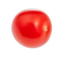seule petite tomate cerise rouge fraîche isolée photo