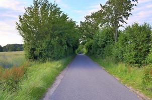 belle vue sur les routes de campagne avec champs et arbres en europe du nord photo