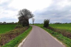 belle vue sur les routes de campagne avec champs et arbres en europe du nord photo