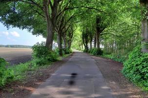 belle vue sur les routes de campagne avec champs et arbres en europe du nord photo