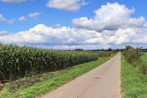 belle vue sur les routes de campagne avec champs et arbres en europe du nord photo