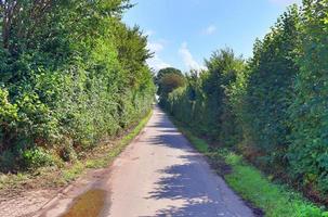 belle vue sur les routes de campagne avec champs et arbres en europe du nord photo