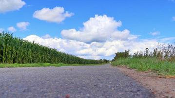 belle vue sur les routes de campagne avec champs et arbres en europe du nord photo