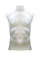 haut du corps en plastique mannequin masculin déshabillé isolé sur fond blanc avec un tracé de détourage photo