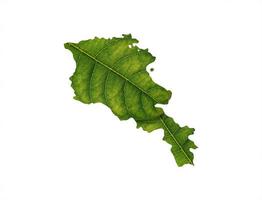 carte de l'arménie faite de feuilles vertes sur le concept d'écologie de fond de sol photo