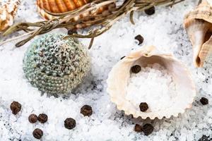 coquillages, gros sel de mer et grains de poivre photo