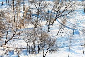 vue ci-dessus du parc urbain enneigé en hiver photo