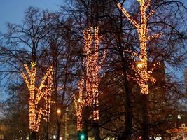 illumination de noël sur les arbres en hiver photo